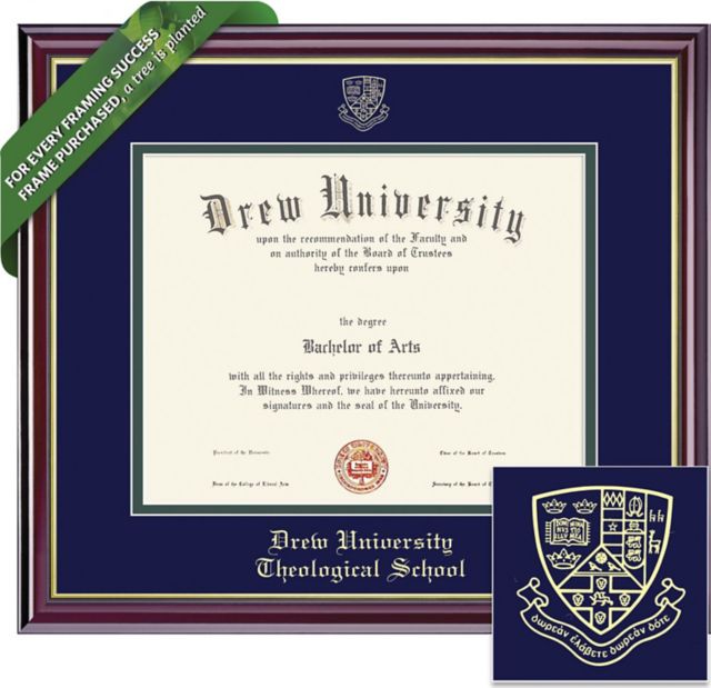 Drew University 8'' x 10'' Windsor Diploma Frame