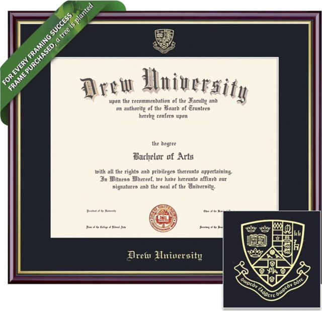 Drew University 8'' x 10'' Value Price Academic Diploma Frame