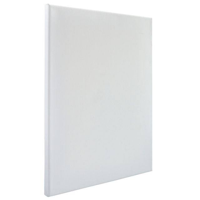 16X20 TWIN PK STRETCHED CANVAS