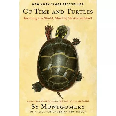 Of Time &amp; Turtles