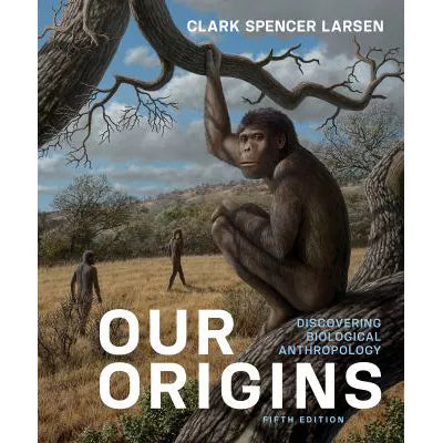Our Origins