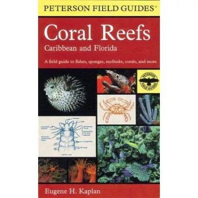 Coral Reefs: Field Guide