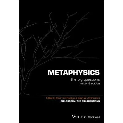 Metaphysics: Big Questions